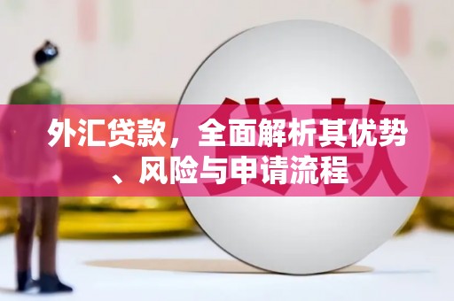 昆山外汇贷款，全面解析其优势、风险与申请流程