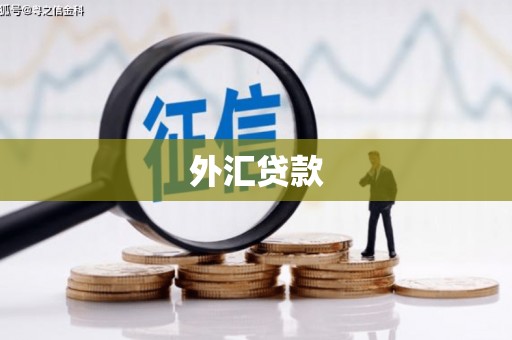 昆山外汇贷款