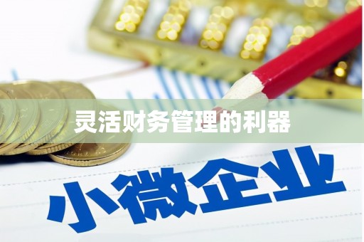 昆山灵活财务管理的利器