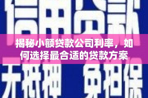 昆山揭秘小额贷款公司利率，如何选择最合适的贷款方案